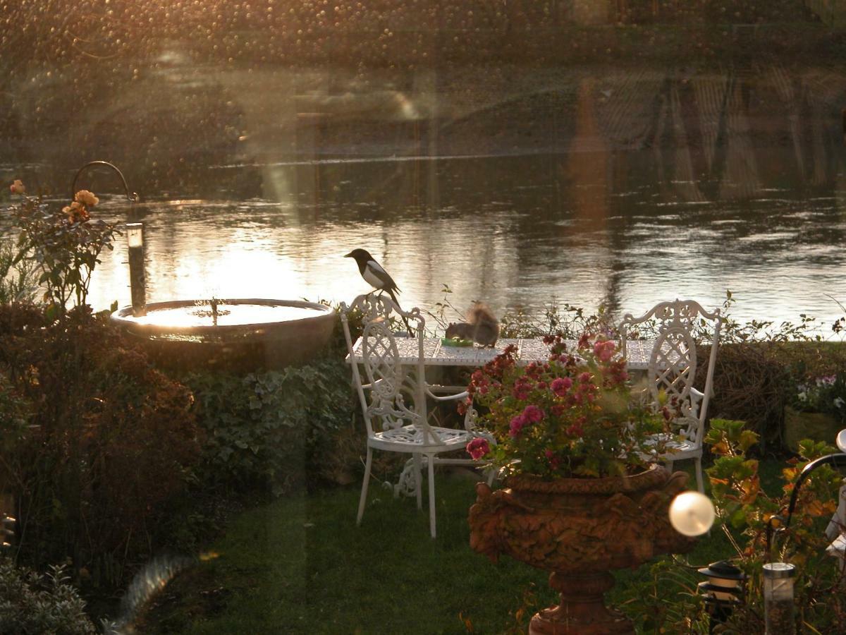 Bed and Breakfast Chiswick Riviera With Free Parking Londyn Zewnętrze zdjęcie
